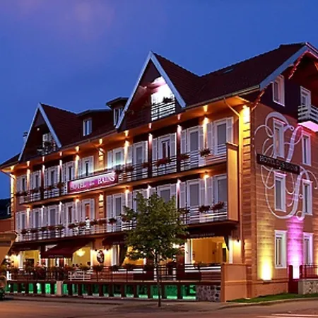 Hotel Logis Des Bains