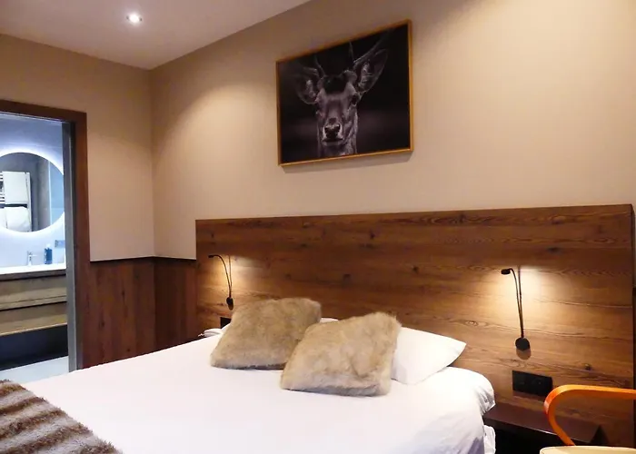 Logis Des Bains Hotel 3*