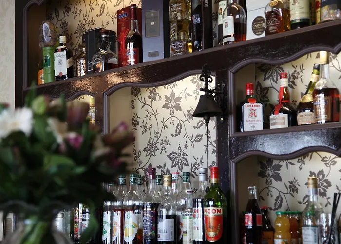 Отель Logis Des Bains 3*