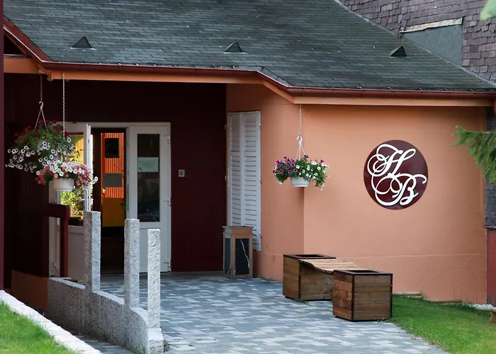 酒店 Logis Des Bains