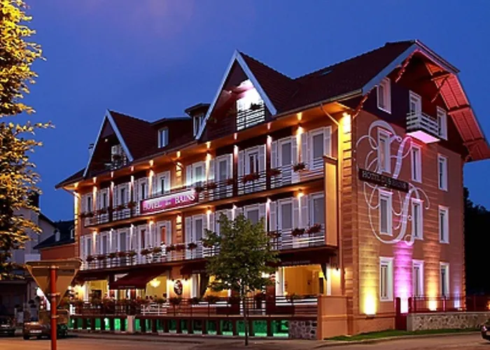 酒店 Logis Des Bains